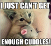 cuddles.png