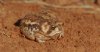 IMG_3570.jpeg