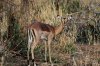 IMG_3589.jpeg