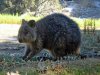 IMG_3705.jpeg