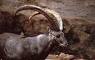 upload_2025-3-9_11-12-50.jpeg