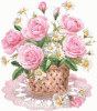IMG_0954.gif