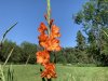 IMG_0215.jpeg