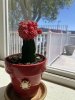 IMG_0555.jpeg