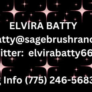 REVISED SIGNATURE FOR ELVIRA BATTY WITH TWITTER INFO